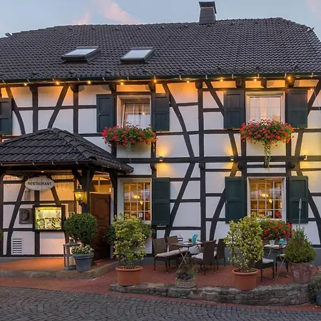 酒店 升高文霍夫酒店 埃森